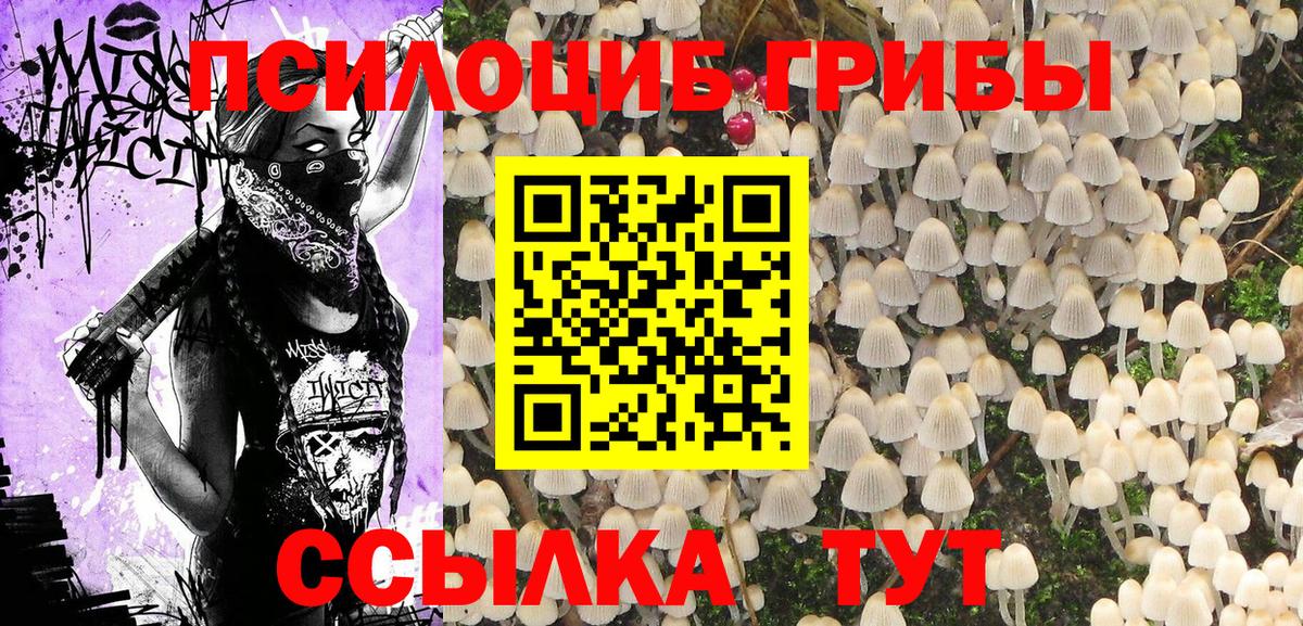 Псилоцибиновые грибы Psilocybine cubensis Королёв