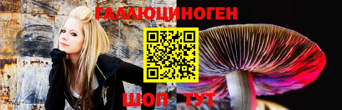 Королёв  цена наркотик  Галлюциногенные грибы мицелий  Вход с VPN  Псилоцибиновые грибы прущие грибы 